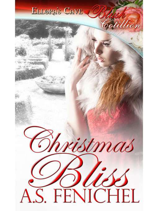 Cover image for Christmas Bliss